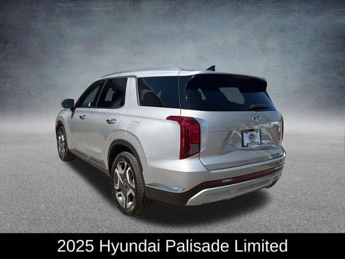 Typhoon Silver 2025 Hyundai PALISADE Limited