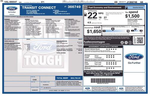 Magnetic 2018 Ford Transit Connect XLT w/Rear Liftgate