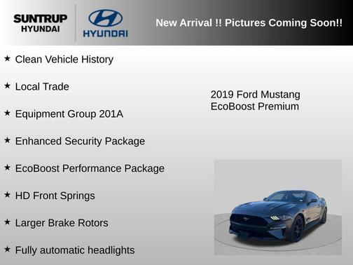 Magnetic 2019 Ford Mustang EcoBoost Premium