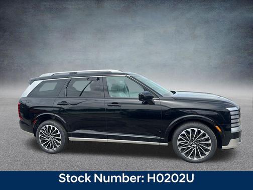 Abyss Black Pearl 2026 Hyundai PALISADE Calligraphy