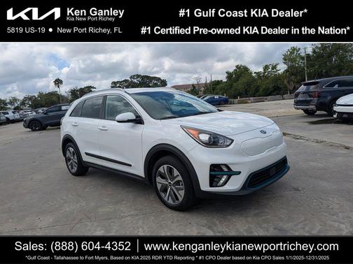 Snow White Pearl 2019 Kia Niro EV EX
