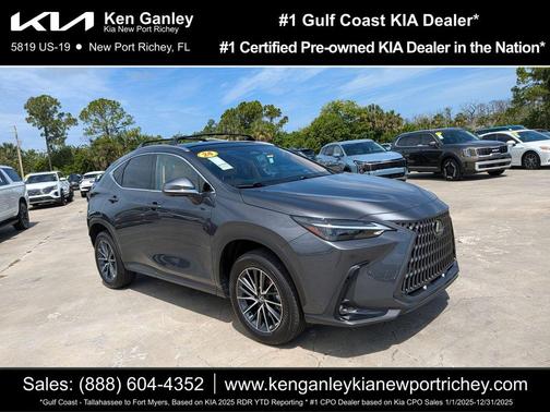 Cloudburst Gray 2024 Lexus NX 350h Luxury