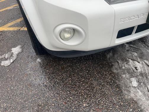 2010 Ford Escape XLT