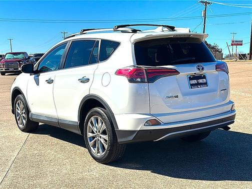 2017 Toyota RAV4 Platinum