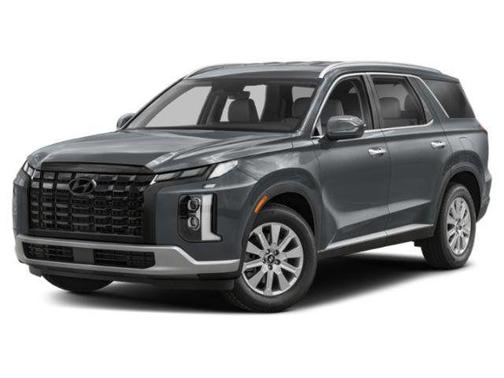 Typhoon Silver 2023 Hyundai PALISADE SEL