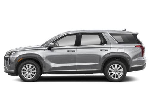 Typhoon Silver 2023 Hyundai PALISADE SEL