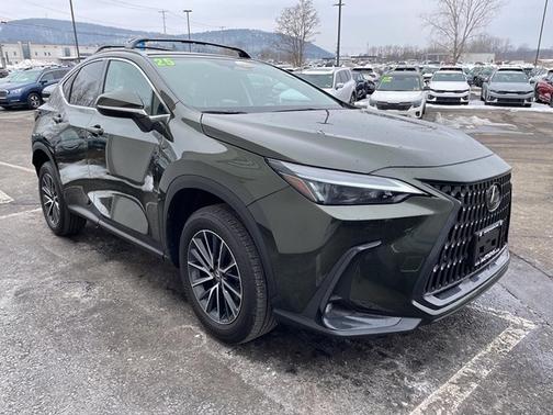 2025 Lexus NX 350h Premium
