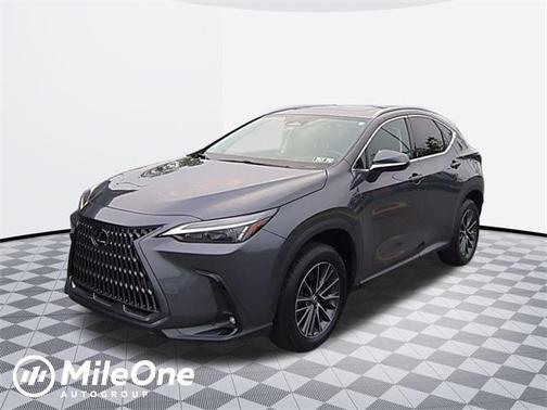 2024 Lexus NX 350h Premium