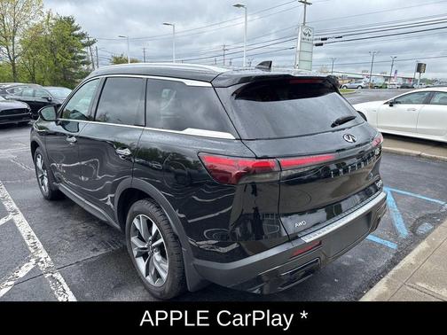 Mineral Black 2023 INFINITI QX60 Luxe