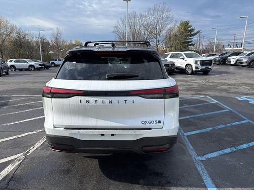Radiant White/Black Obsidian 2026 INFINITI QX60 SPORT AWD