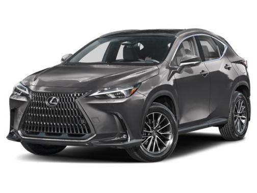 2025 Lexus NX 350h Luxury