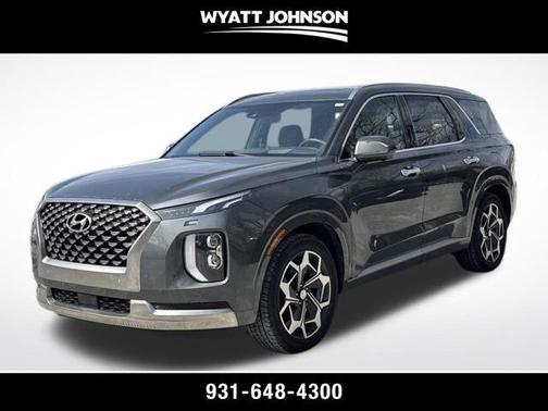 Rainforest 2022 Hyundai PALISADE Calligraphy