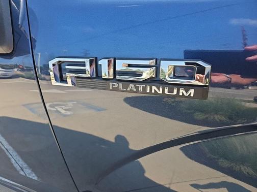 Blue 2019 Ford F-150 Platinum