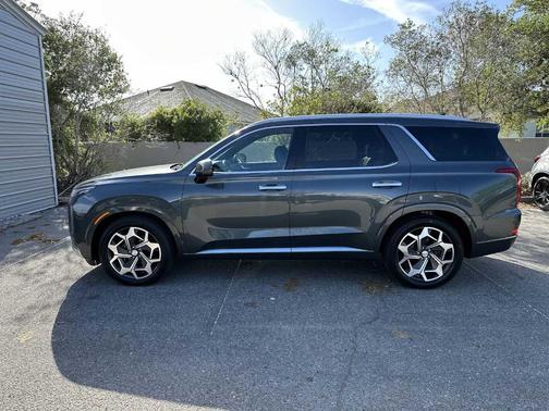 Rainforest 2021 Hyundai PALISADE Calligraphy