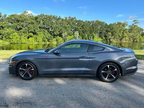 CARBONIZED GRAY 2021 Ford Mustang EcoBoost