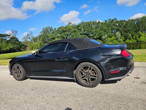SHADOW BLACK 2020 Ford Mustang EcoBoost Premium