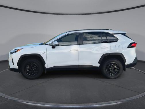 Ice Cap 2025 Toyota RAV4 XLE