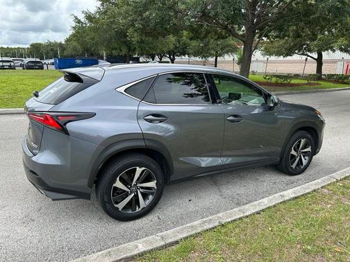 Nebula Gray Pearl 2020 Lexus NX 300 Base