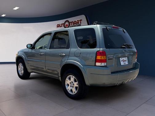 Titanium Green Metallic 2006 Ford Escape Limited