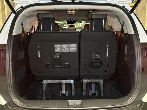 Snow White Pearl 2026 Kia Carnival EX