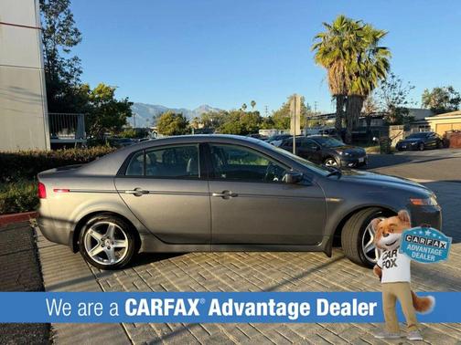 Gray 2006 Acura TL Base