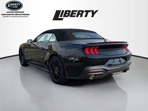Shadow Black 2025 Ford Mustang EcoBoost