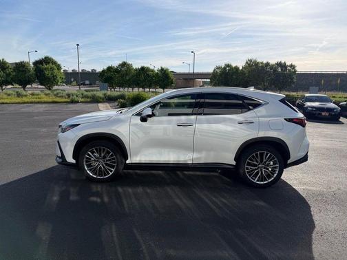 White Pearl 2025 Lexus NX 350h Premium