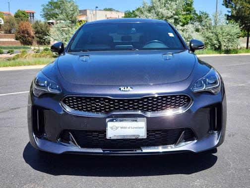 Panthera Metal 2021 Kia Stinger GT