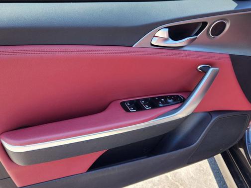 Panthera Metal 2021 Kia Stinger GT