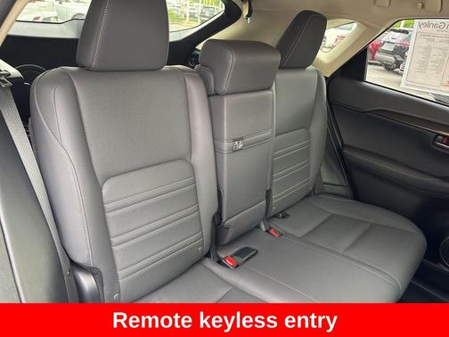Nebula Gray Pearl 2019 Lexus NX 300 Base
