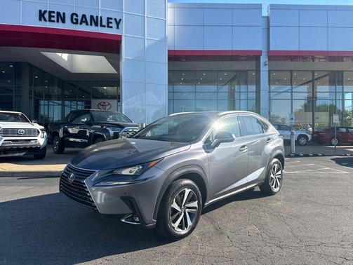 Nebula Gray Pearl 2019 Lexus NX 300 Base