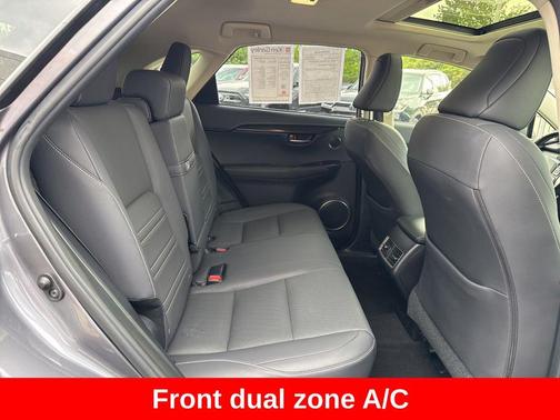 Nebula Gray Pearl 2019 Lexus NX 300 Base