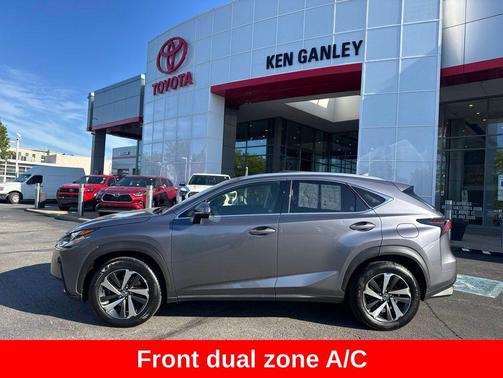 Nebula Gray Pearl 2019 Lexus NX 300 Base