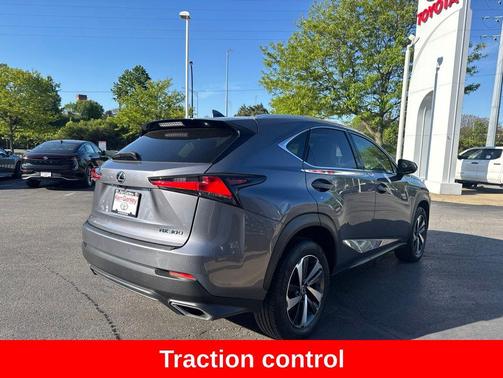 Nebula Gray Pearl 2019 Lexus NX 300 Base