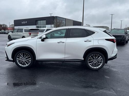 2025 Lexus NX 350h Premium