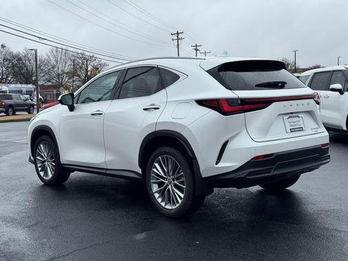 2025 Lexus NX 350h Premium