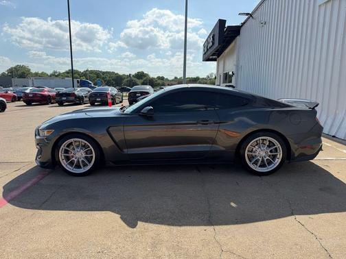 Magnetic 2017 Ford Shelby GT350 Base