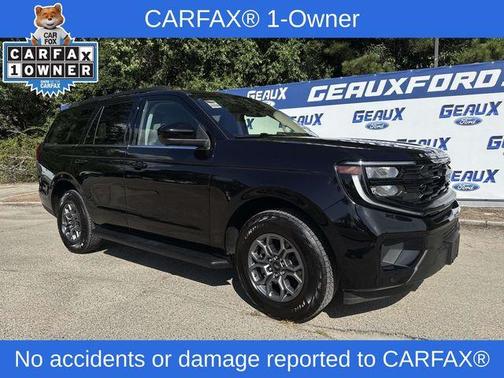Black Metallic 2025 Ford Expedition Active