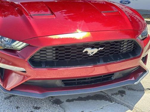 Ruby Red Metallic 2019 Ford Mustang EcoBoost