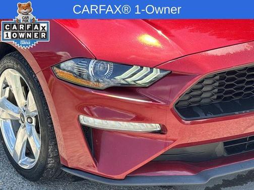 Ruby Red Metallic 2019 Ford Mustang EcoBoost