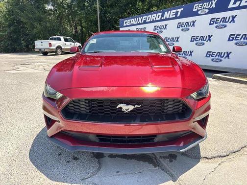 Ruby Red Metallic 2019 Ford Mustang EcoBoost