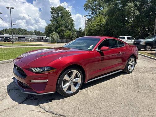 Ruby Red Metallic 2019 Ford Mustang EcoBoost