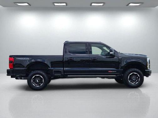 Agate Black Metallic 2025 Ford F-250 Platinum