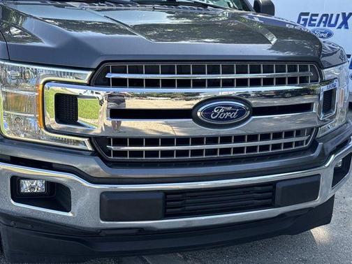 Beige / Tan 2019 Ford F-150 XLT