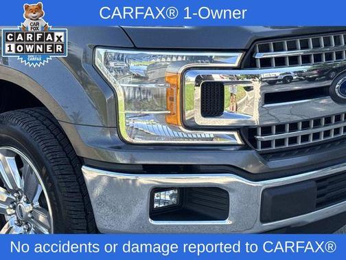 Beige / Tan 2019 Ford F-150 XLT