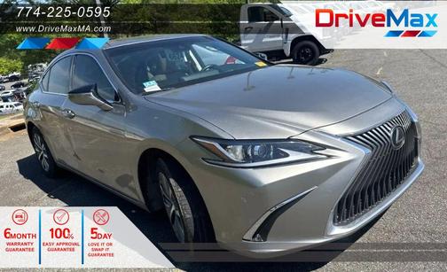 Nebula Gray Pearl 2020 Lexus ES 350 Base