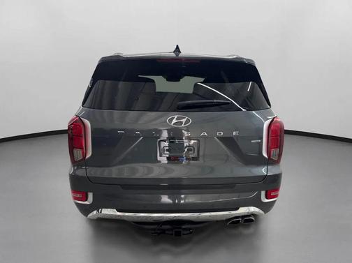 Rainforest 2020 Hyundai PALISADE Limited