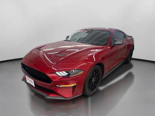 2023 Ford Mustang EcoBoost