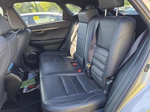 2019 Lexus NX 300 F Sport