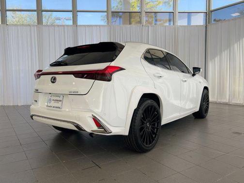 2019 Lexus UX 200 F Sport